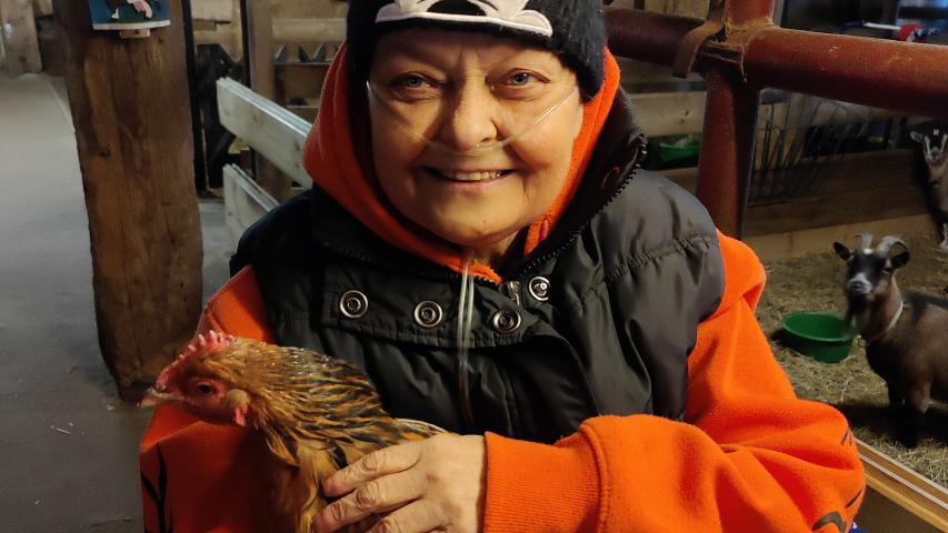 Wunschfahrt zum Erlebnisbauernhof